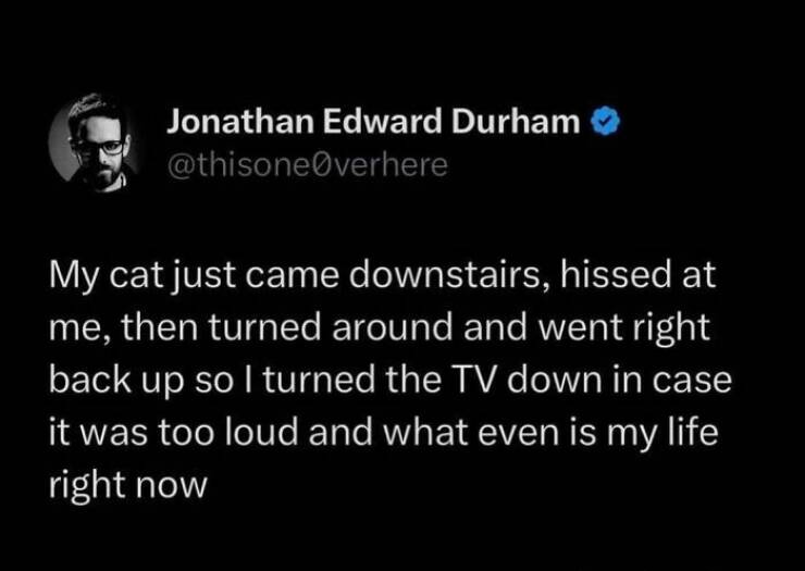 Claw-some Cat Memes That Are Too Funny To Ignore Claw-some Cat Memes That Are Too Funny To Ignore