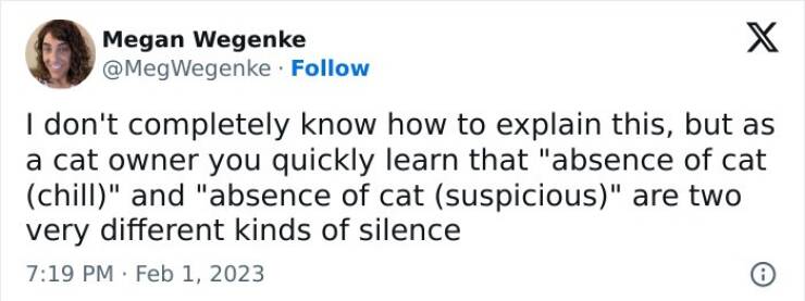 Claw-some Cat Memes That Are Too Funny To Ignore Claw-some Cat Memes That Are Too Funny To Ignore