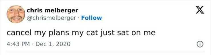 Claw-some Cat Memes That Are Too Funny To Ignore Claw-some Cat Memes That Are Too Funny To Ignore