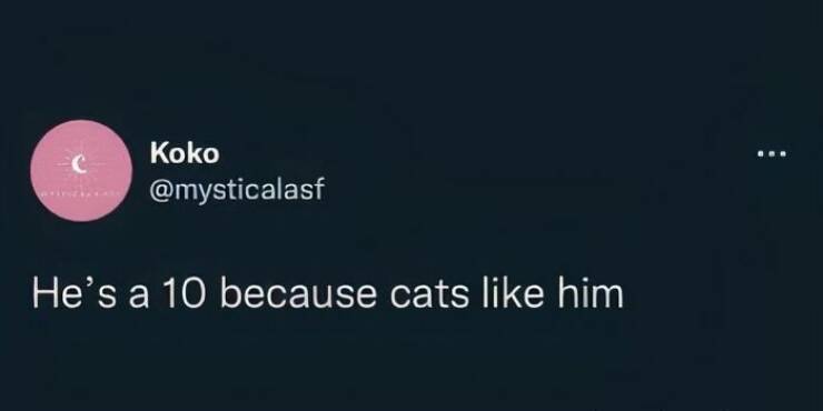 Claw-some Cat Memes That Are Too Funny To Ignore Claw-some Cat Memes That Are Too Funny To Ignore