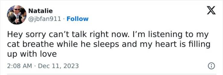 Claw-some Cat Memes That Are Too Funny To Ignore Claw-some Cat Memes That Are Too Funny To Ignore