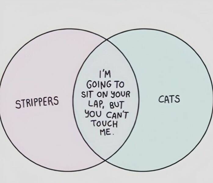 Completely Unnecessary Charts That Are Weirdly Entertaining