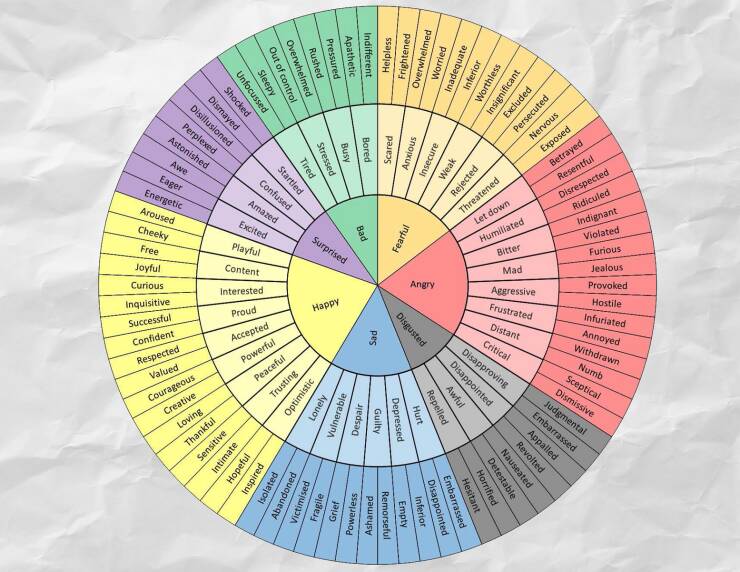 Completely Unnecessary Charts That Are Weirdly Entertaining