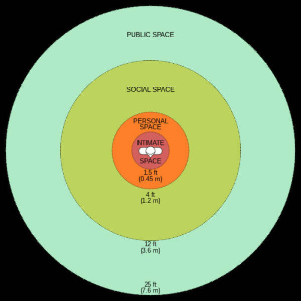 Completely Unnecessary Charts That Are Weirdly Entertaining