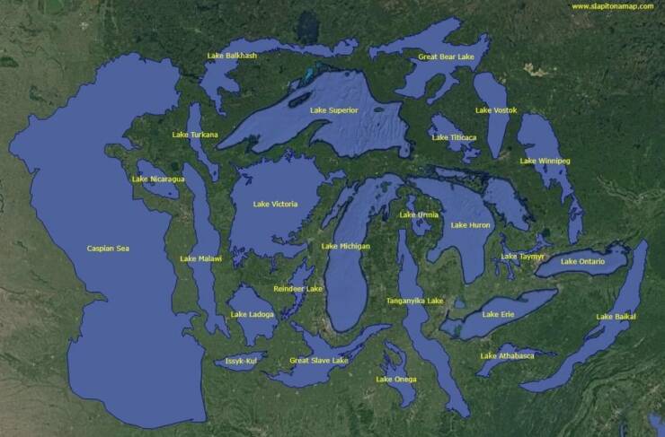 Completely Unnecessary Charts That Are Weirdly Entertaining