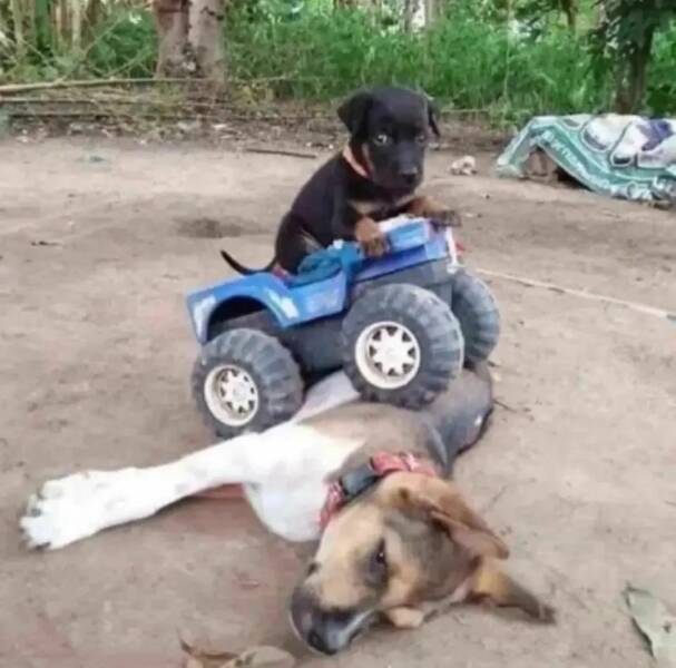 Daily Picdump Daily Picdump