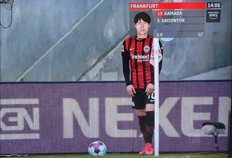 Daily Picdump Daily Picdump