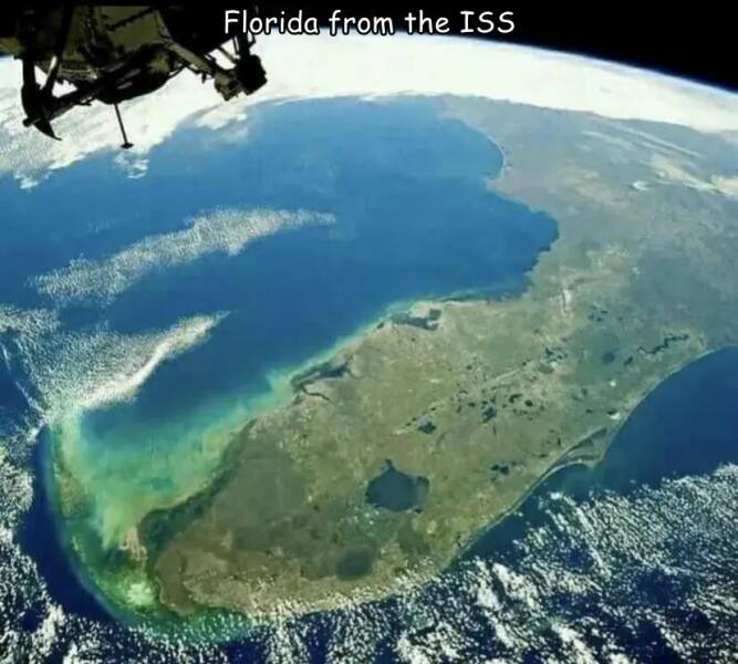 Daily Picdump Daily Picdump