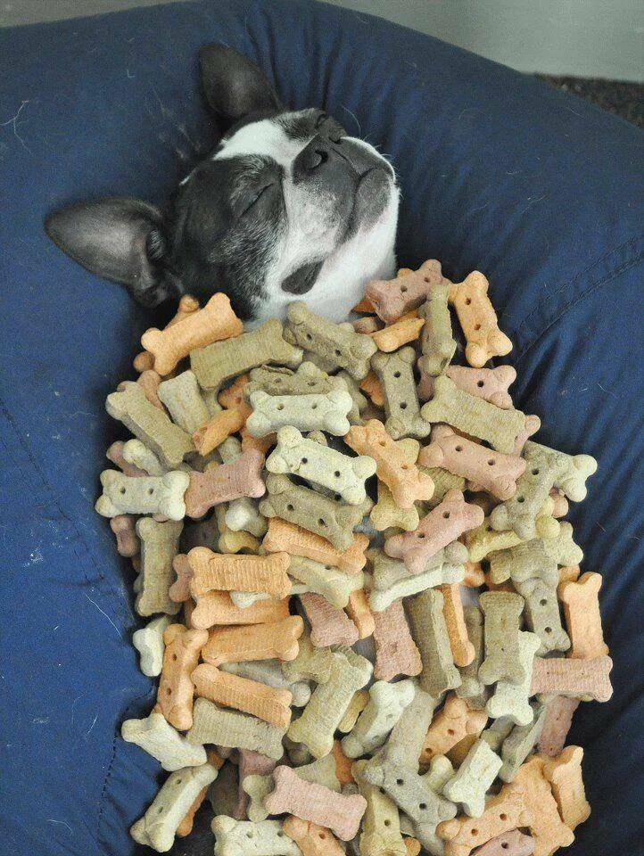 Daily Picdump Daily Picdump