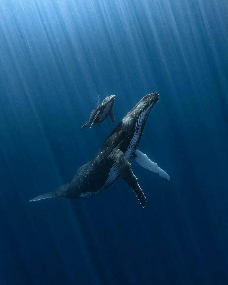 Daily Picdump Daily Picdump