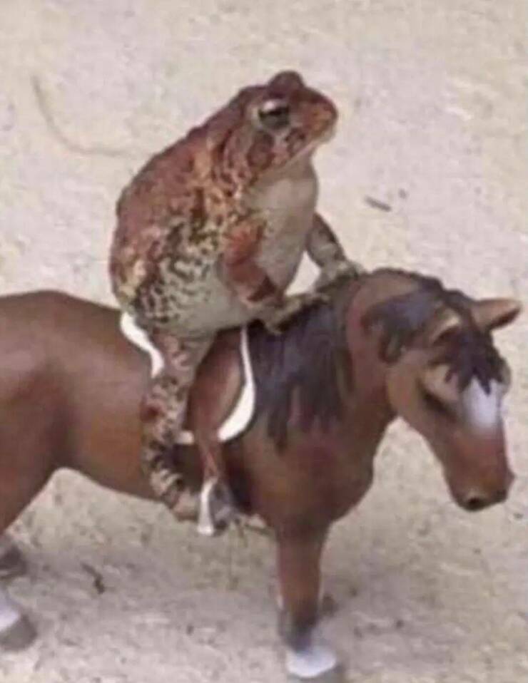 Daily Picdump Daily Picdump