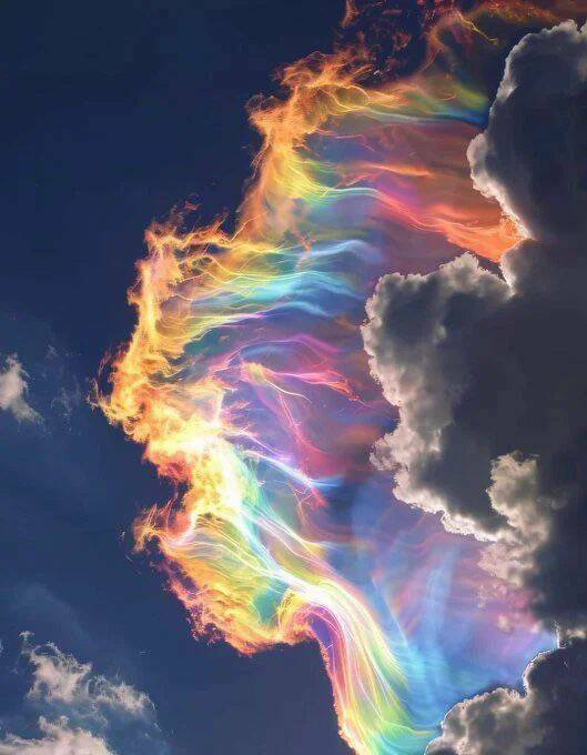 Daily Picdump Daily Picdump