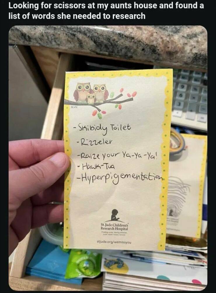 Daily Picdump Daily Picdump