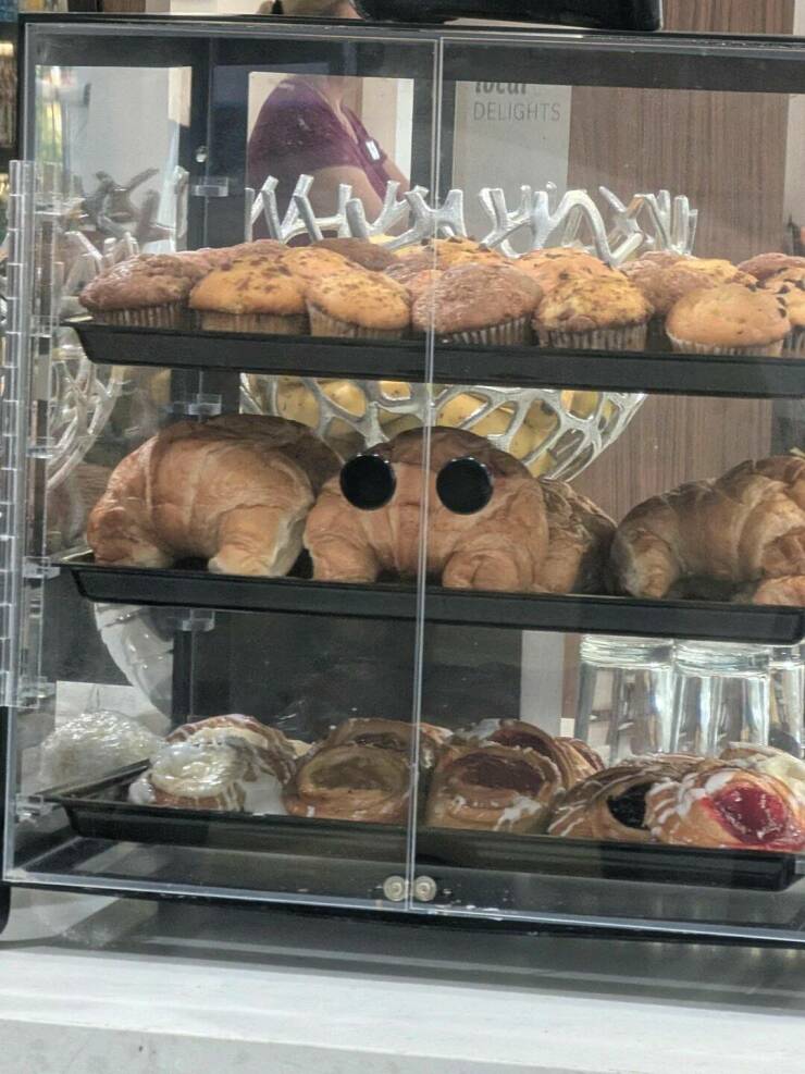 Daily Picdump Daily Picdump