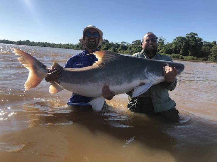 Think Bigger! Think Bigger!