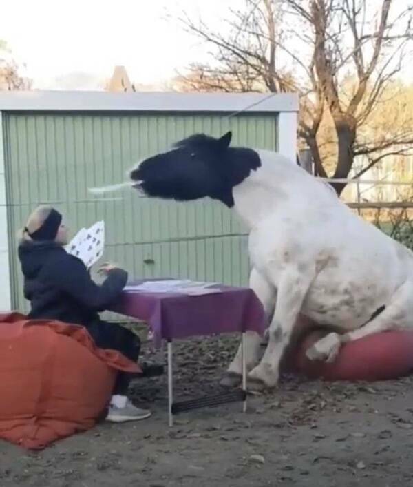 Think Bigger! Think Bigger!