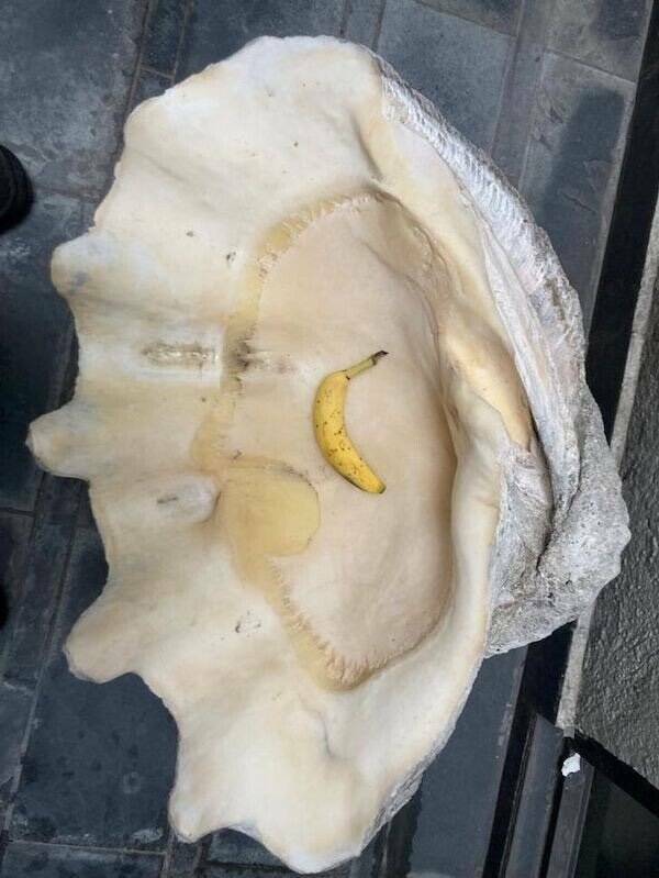 Think Bigger! Think Bigger!