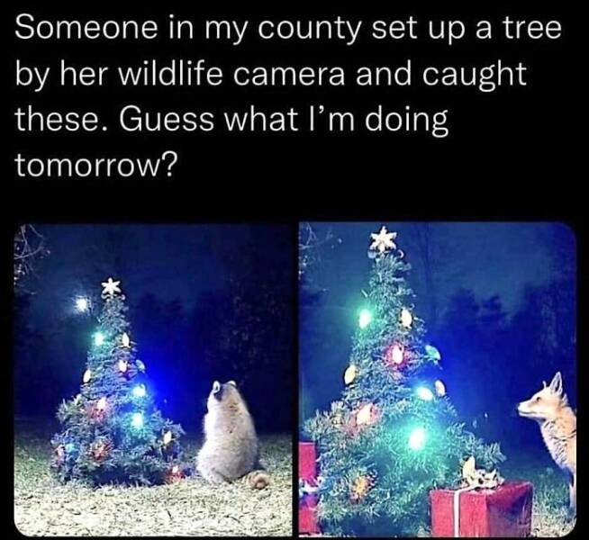 Wholesome Memes That Feel Like A Warm Hug