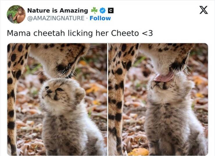 Wholesome Memes That Feel Like A Warm Hug