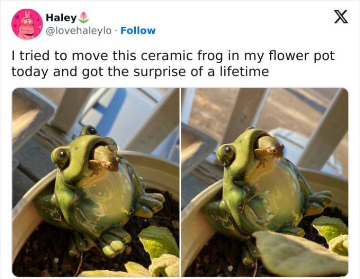 Wholesome Memes That Feel Like A Warm Hug