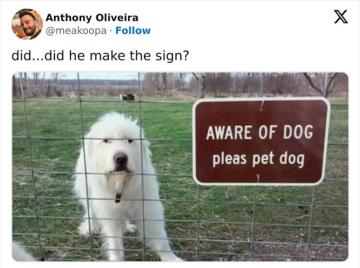 Wholesome Memes That Feel Like A Warm Hug