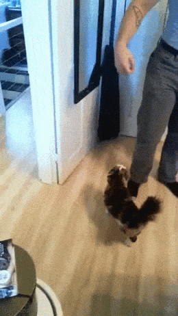 Daily Gifdump Daily Gifdump