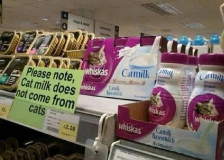 Daily Picdump Daily Picdump