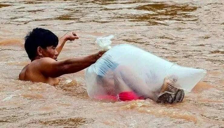 Daily Picdump Daily Picdump