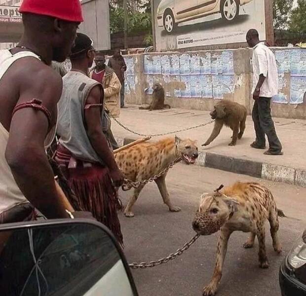 Daily Picdump Daily Picdump