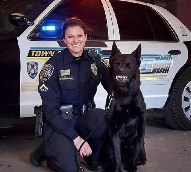 Daily Picdump Daily Picdump