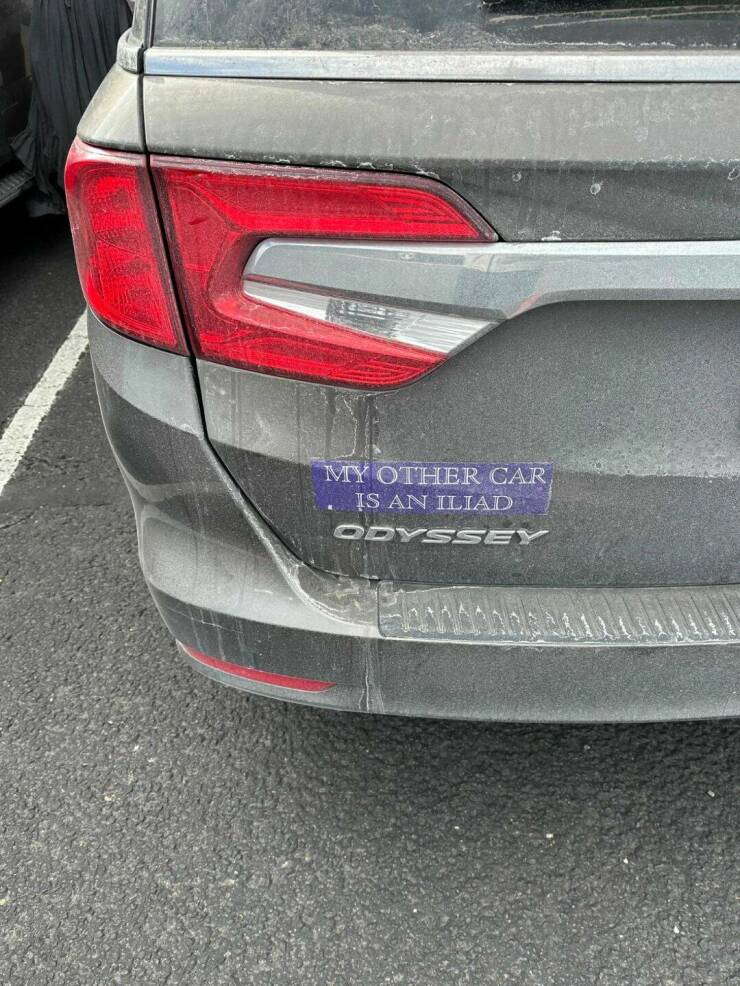 Daily Picdump Daily Picdump