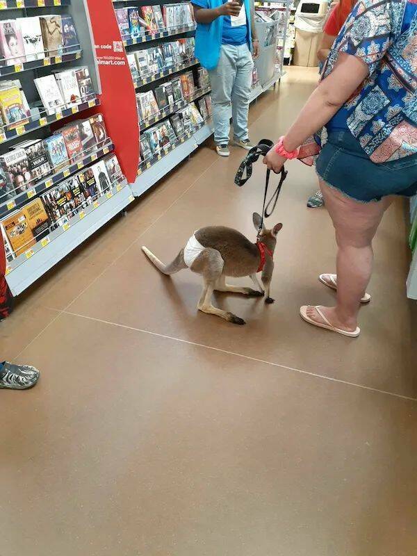 Daily Picdump Daily Picdump