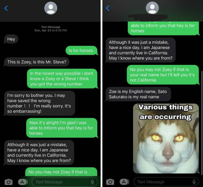 Hilarious Moments When People Outsmarted Scammers