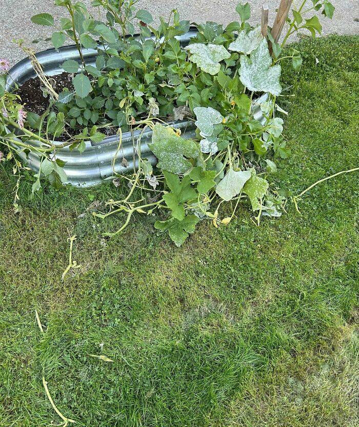 Husbands & Boyfriends Who Are Masters Of Annoyance