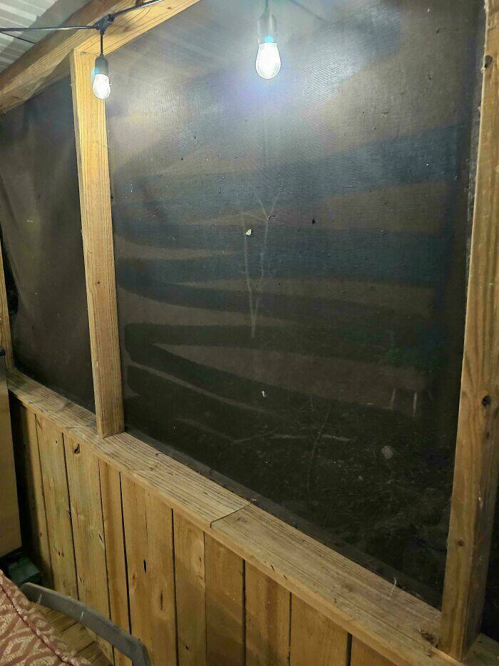 Husbands & Boyfriends Who Are Masters Of Annoyance