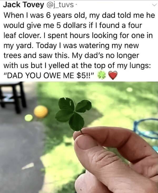 The Ultimate Marriage Meme Hub The Ultimate Marriage Meme Hub