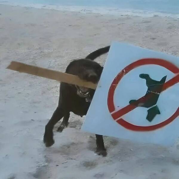 Daily Picdump Daily Picdump