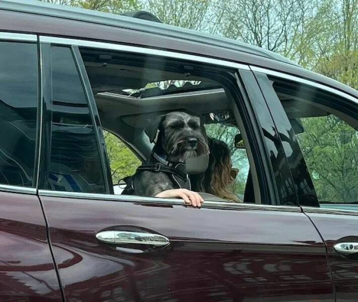 Daily Picdump Daily Picdump