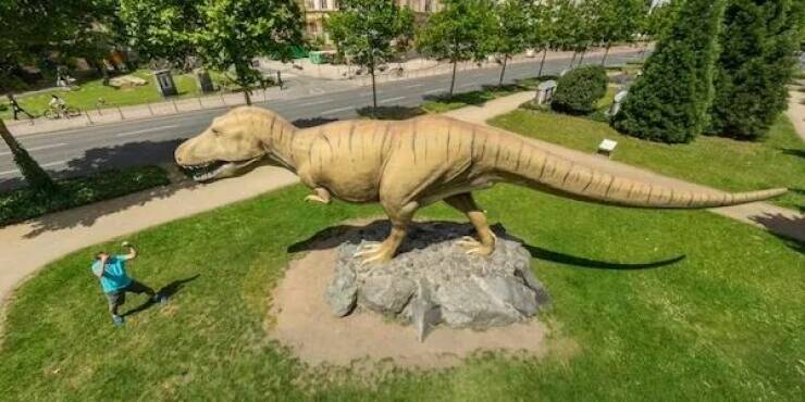 Daily Picdump Daily Picdump