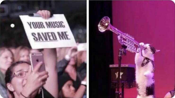 Daily Picdump Daily Picdump