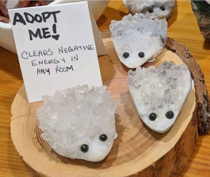 Daily Picdump Daily Picdump