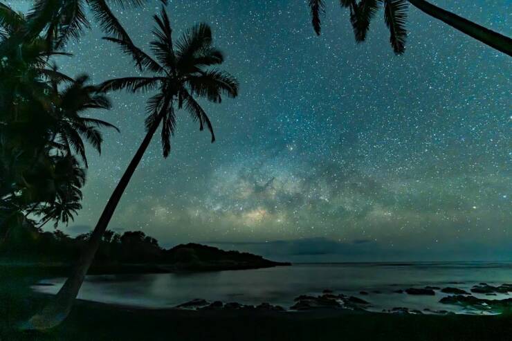 Daily Picdump Daily Picdump