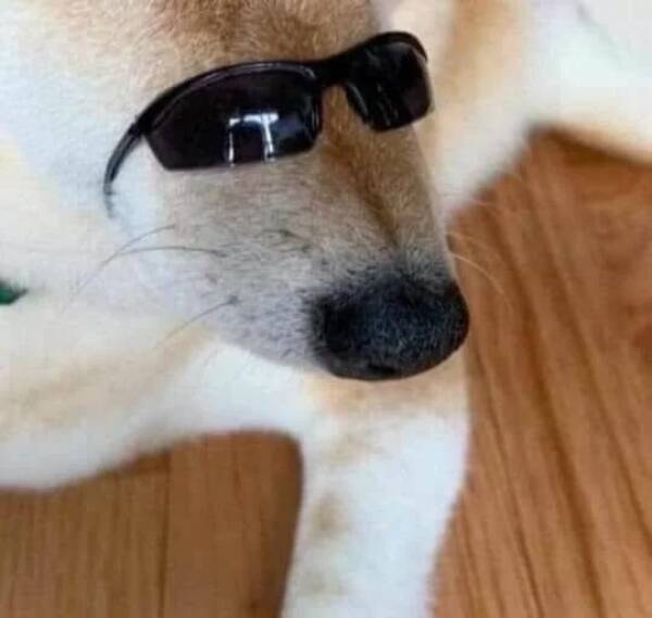 Daily Picdump Daily Picdump