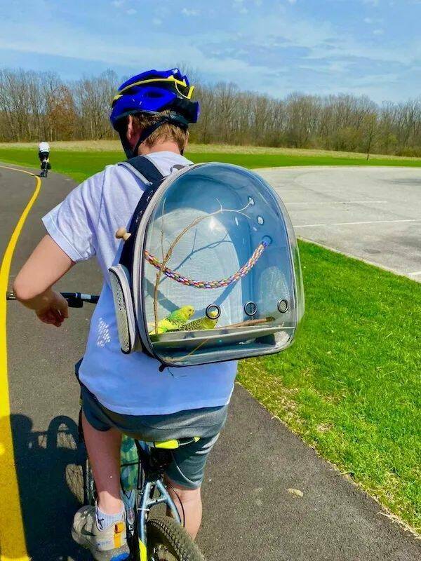 Daily Picdump Daily Picdump