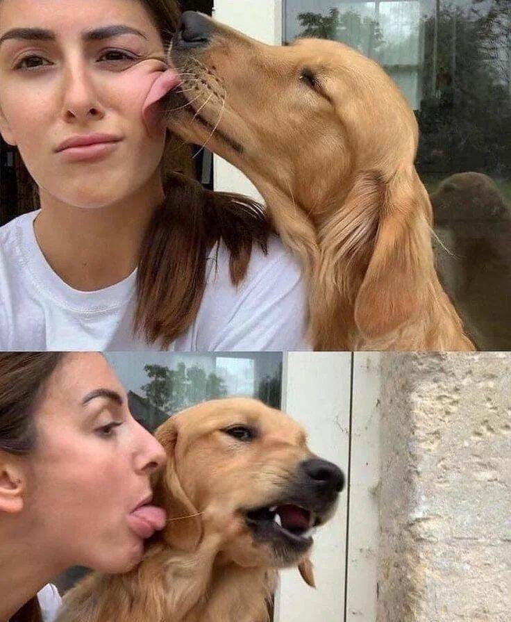 Daily Picdump Daily Picdump