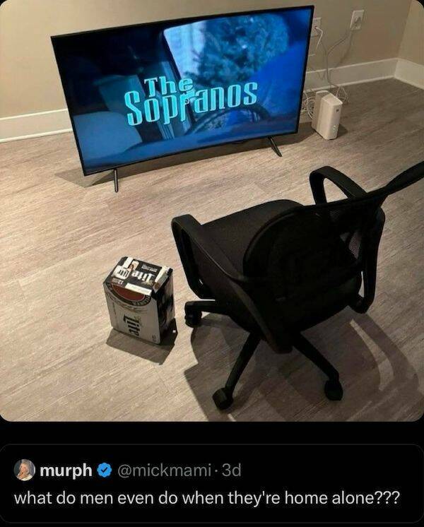 Daily Picdump Daily Picdump