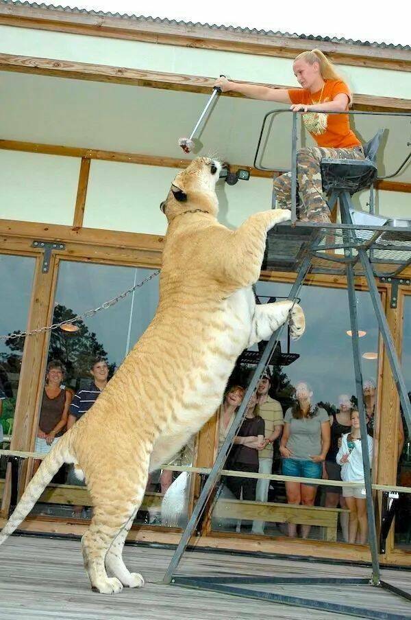 Daily Picdump Daily Picdump