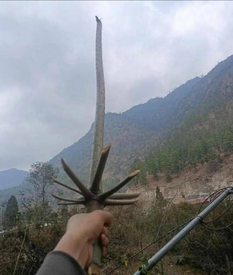 Daily Picdump Daily Picdump