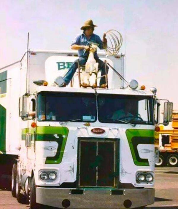 Daily Picdump Daily Picdump