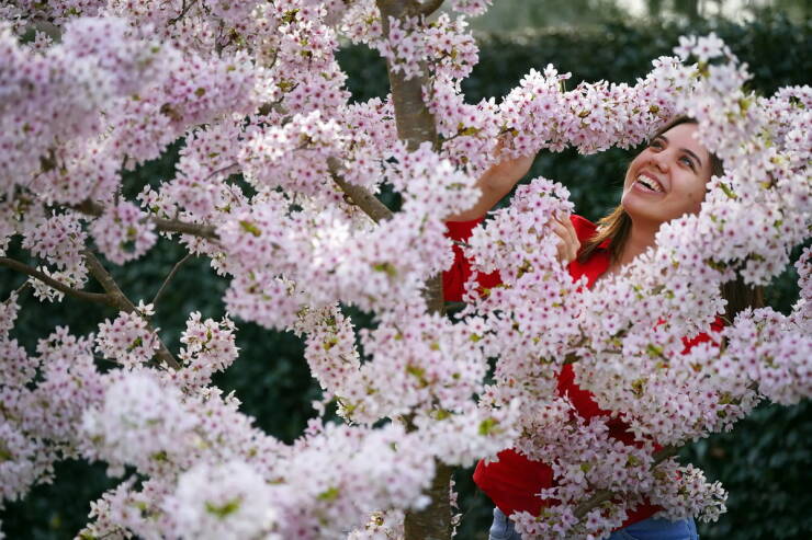 Morning Picdump Morning Picdump